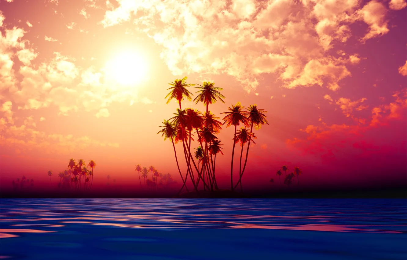 Фото обои beach, sky, sunset, palms