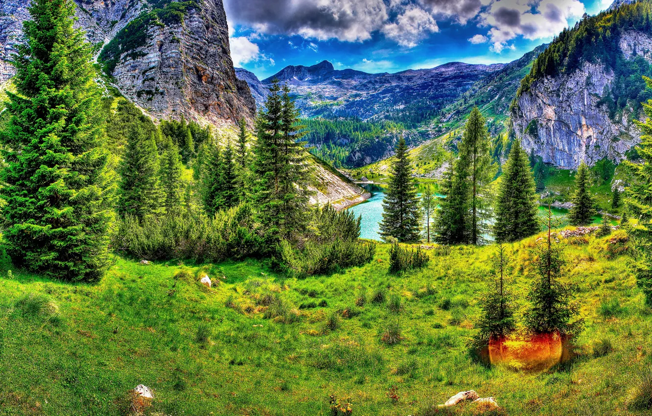 Фото обои зелень, горы, краски, ели, hdr, Словения, Slovenia, Kobarid