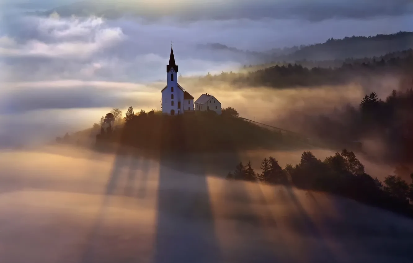 Фото обои лес, свет, туман, утро, церковь