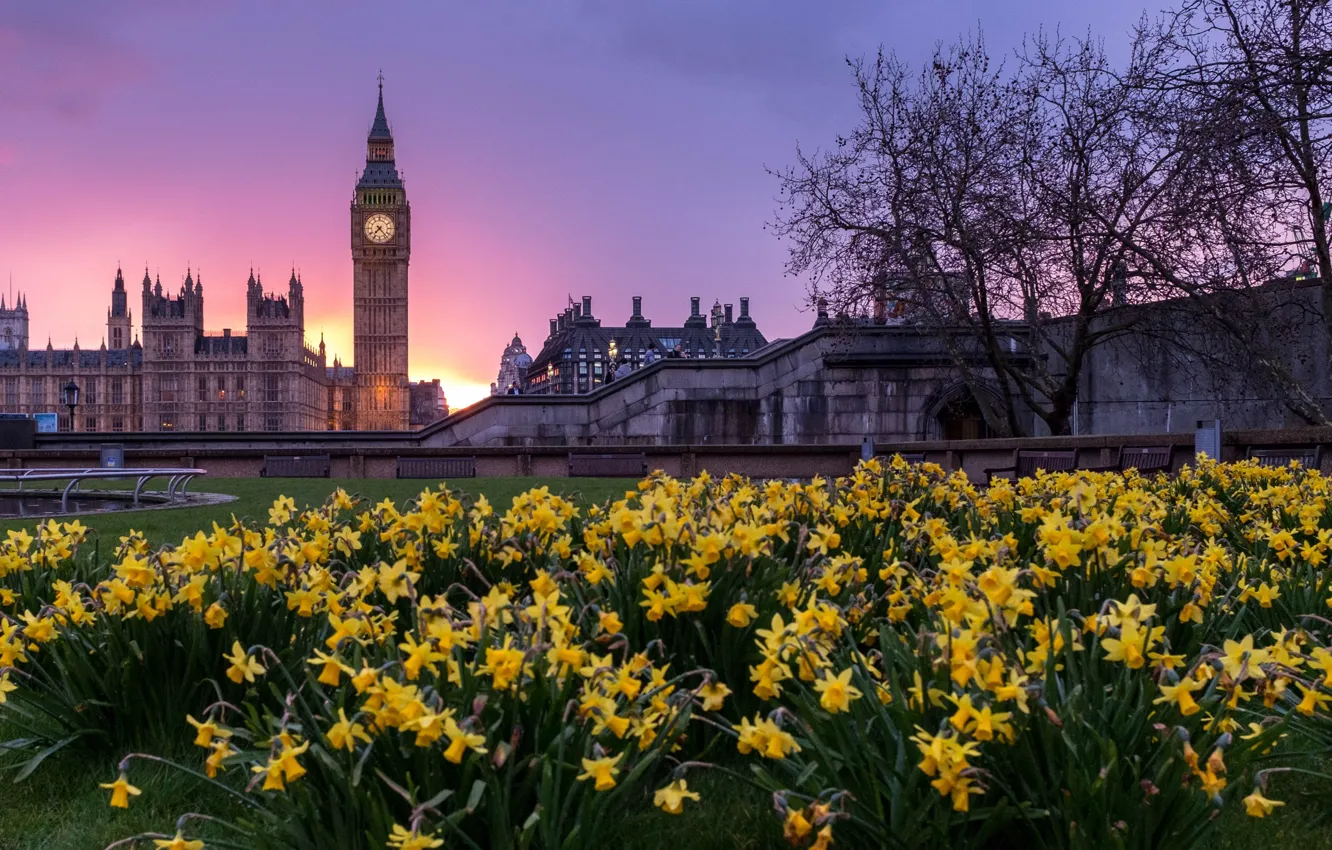 Фото обои деревья, цветы, город, газон, Лондон, здания, башня, весна