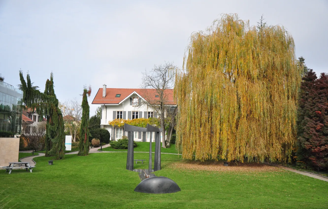 Фото обои colors, Осень, Деревья, Дом, House, trees, Autumn, fall