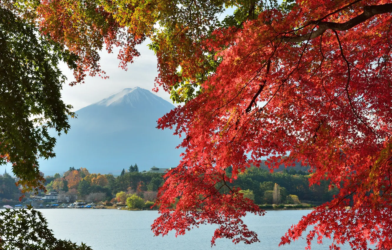 Фото обои осень, небо, листья, деревья, озеро, дом, Япония, гора Фудзияма