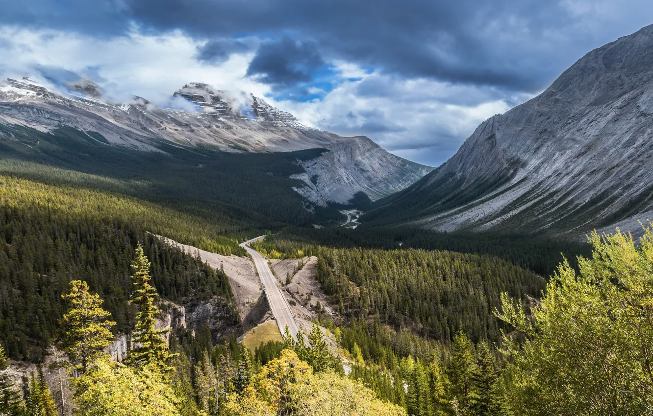 Фото обои дорога, лес, облака, деревья, горы, ветки, тучи, вершины