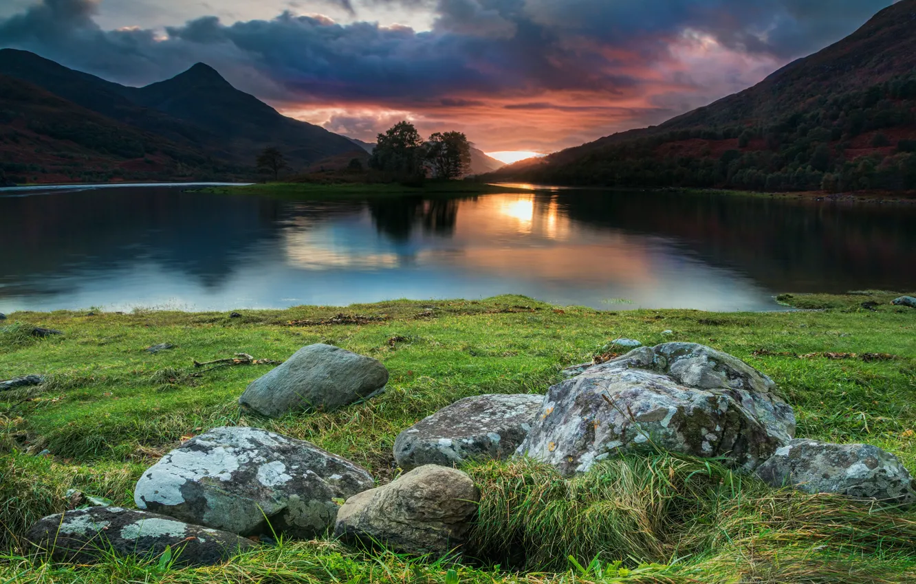 Фото обои зелень, лес, трава, солнце, облака, деревья, пейзаж, закат