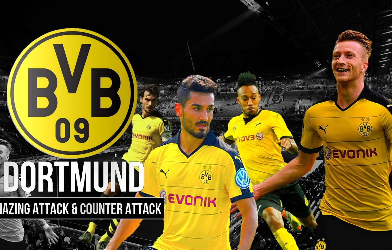 Фото обои wallpaper, sport, logo, stadium, football, Borussia Dortmund, players, Signal Iduna Park