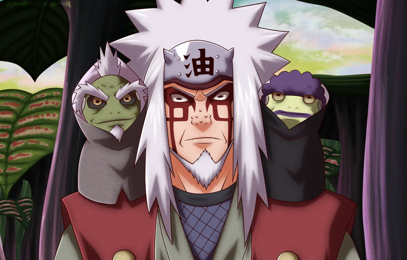 Фото обои Наруто, Naruto, жабы, Джирайя
