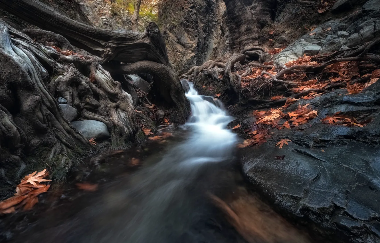 Фото обои Mountain, Waterfall, Cyprus, Forest Cascade, Moniatis, Limassol District