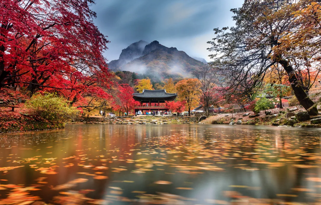 Фото обои осень, облака, деревья, горы, туман, пруд, парк, храм