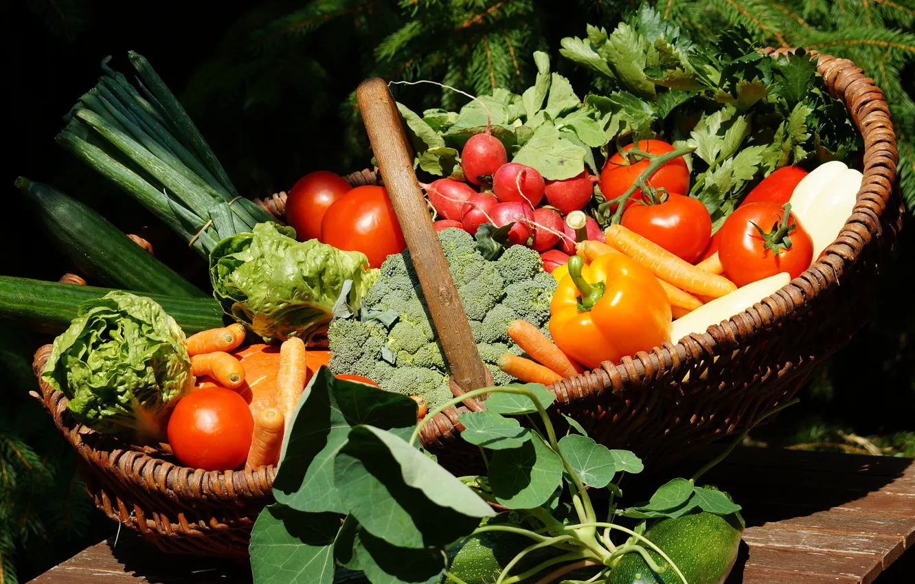 Фото обои зелень, Овощи, перец, Помидоры, брокколи, Редис