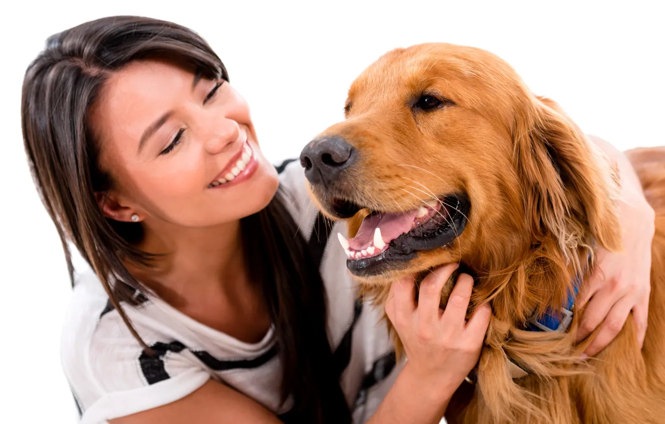 Фото обои девушка, улыбка, собака, брюнетка, белый фон, Ретривер