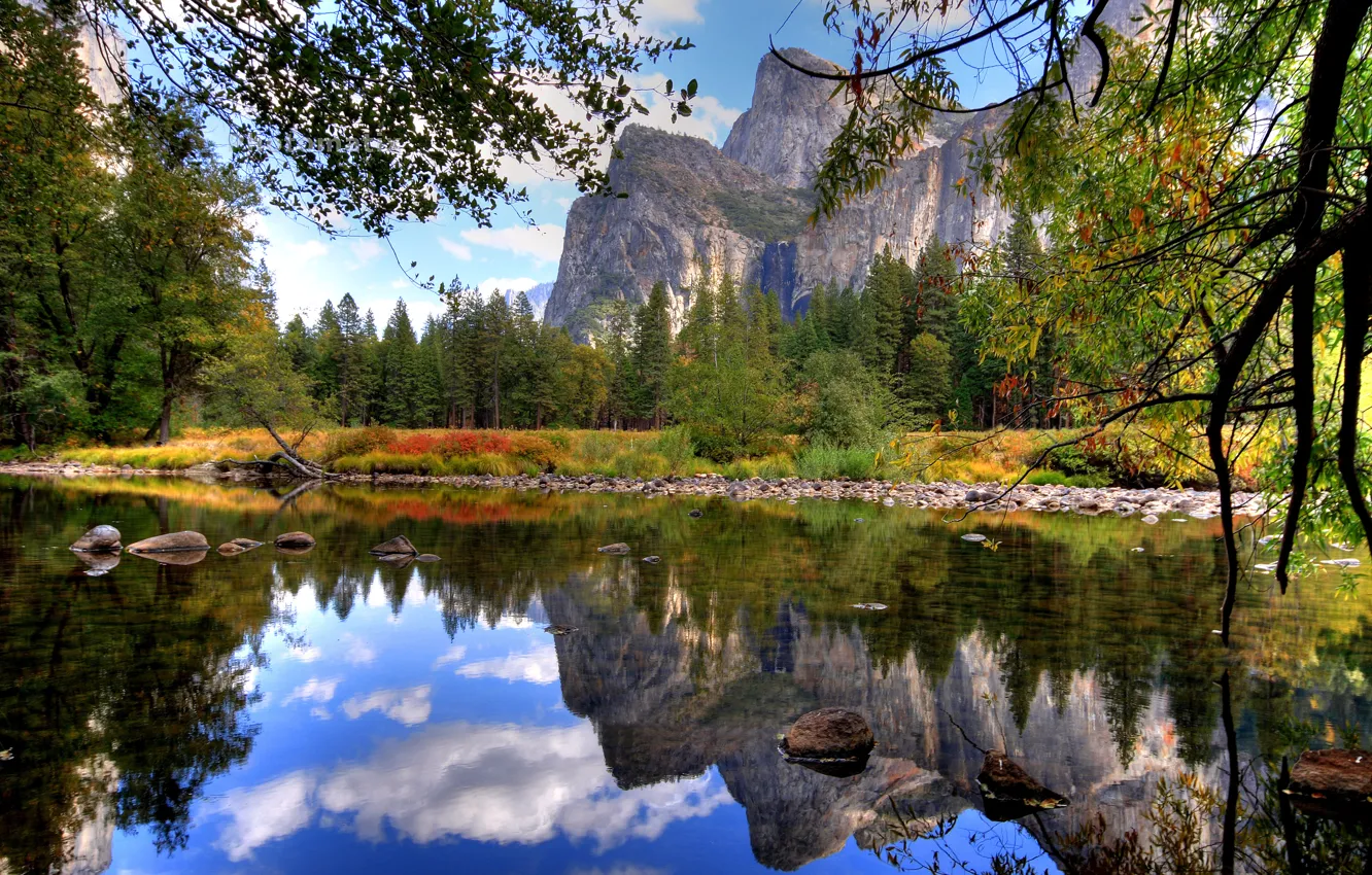 Фото обои вода, ветки, озеро, камни, гора