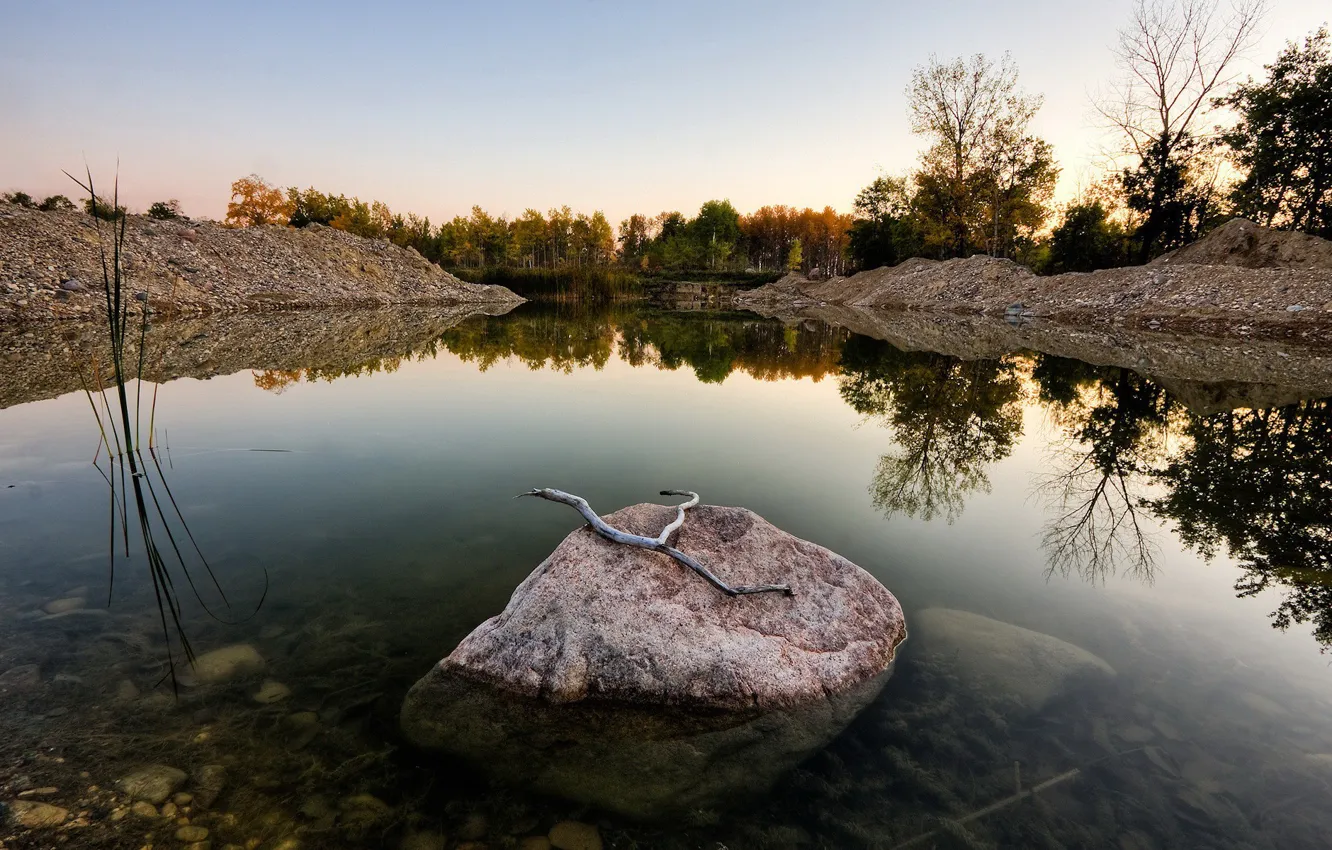 Фото обои озеро, камень, ветка