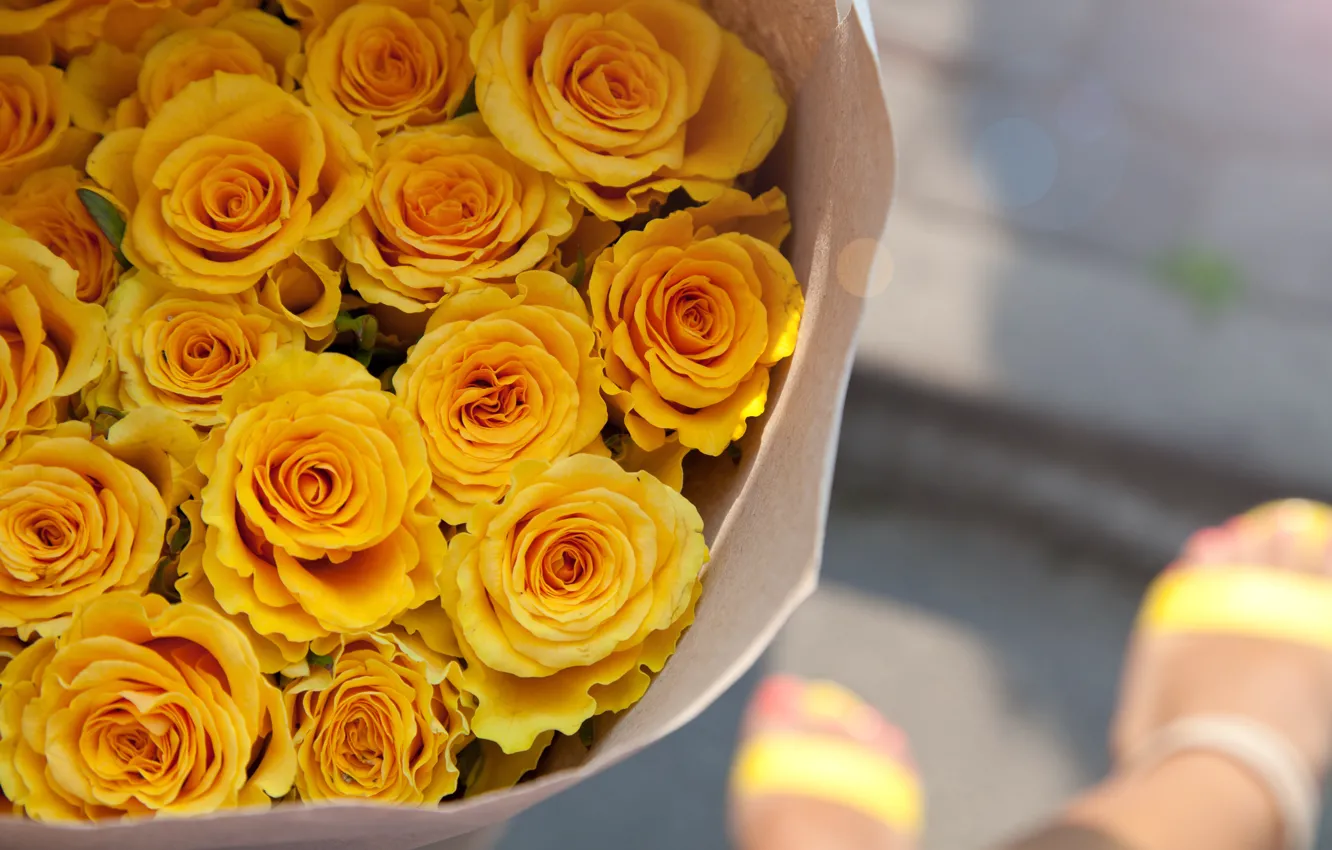 Фото обои розы, букет, желтые, бутоны