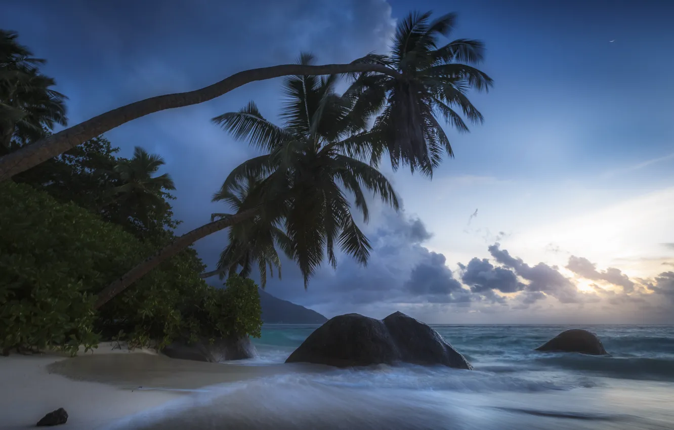Фото обои тропики, камни, пальмы, океан, побережье, Индийский океан, Seychelles, Indian Ocean
