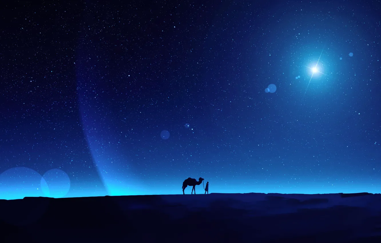 Фото обои небо, ночь, человек, верблюд