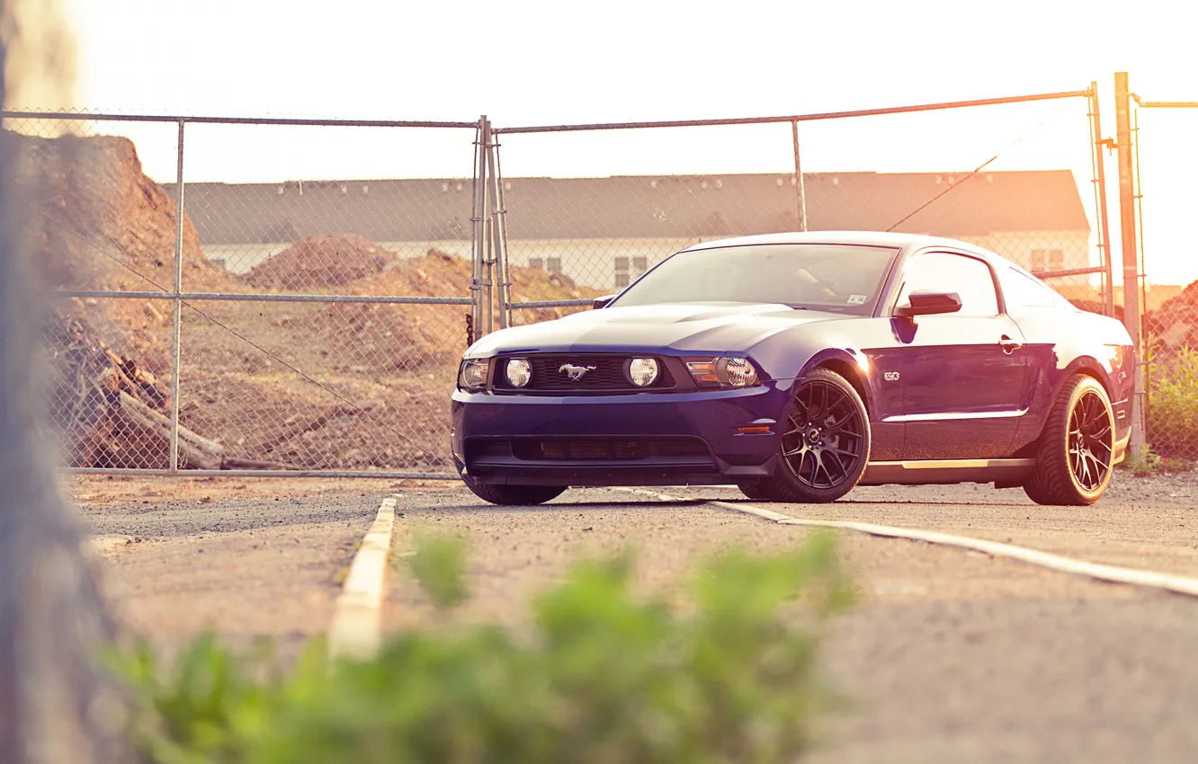 Фото обои синий, забор, Mustang, Ford, мустанг, мускул кар, форд, блик