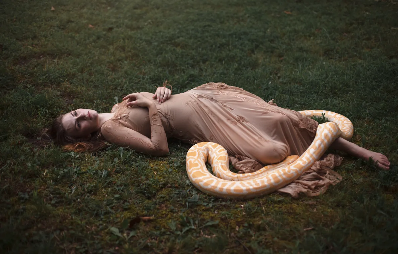 Фото обои девушка, змея, питон