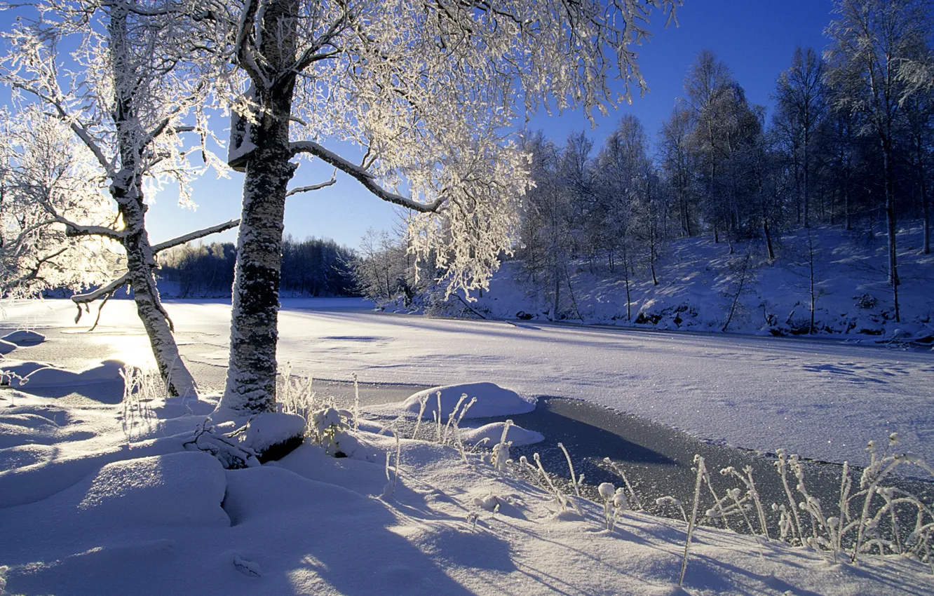 Фото обои зима, лес, солнце, снег, деревья, река
