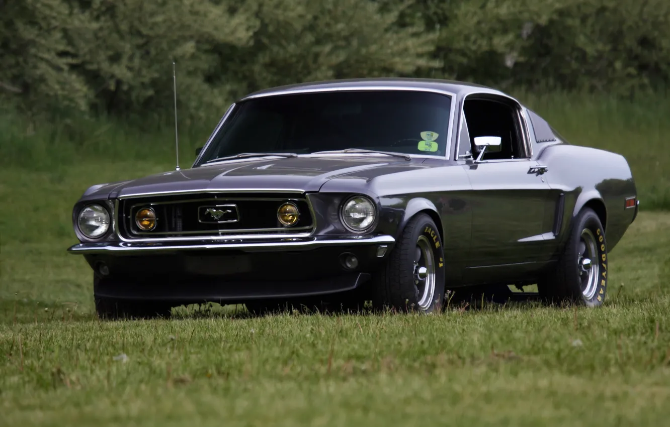 Фото обои mustang, ford, old, school