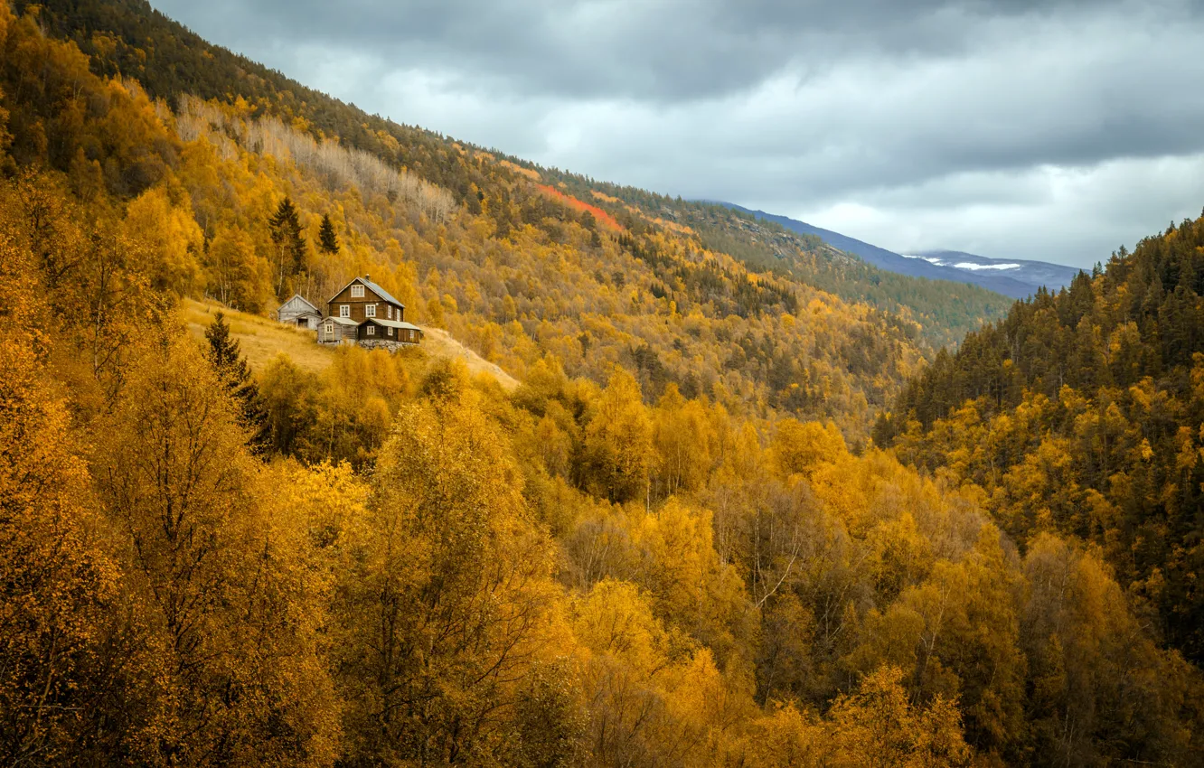 Фото обои осень, лес, горы, дом