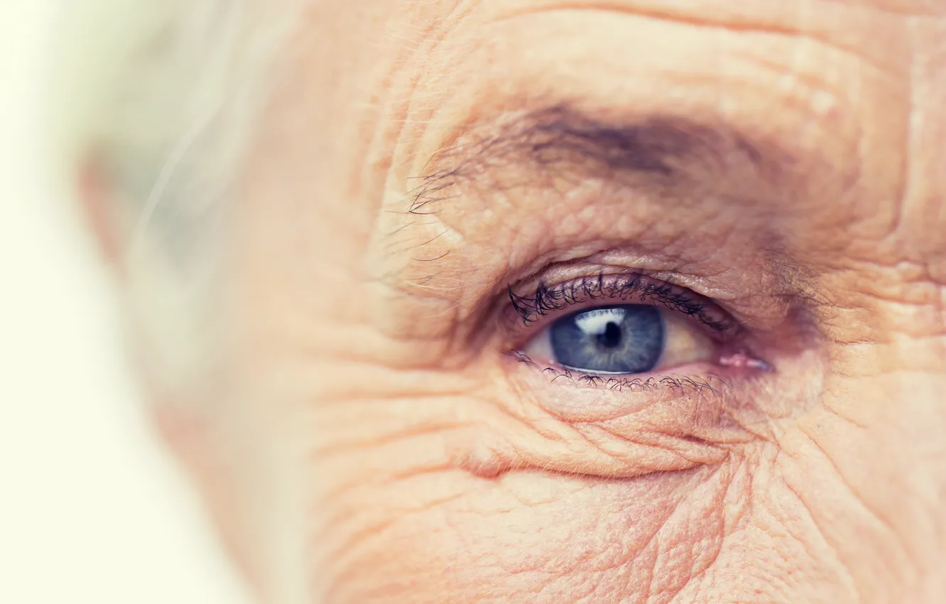 Фото обои blue eye, wrinkles, older woman