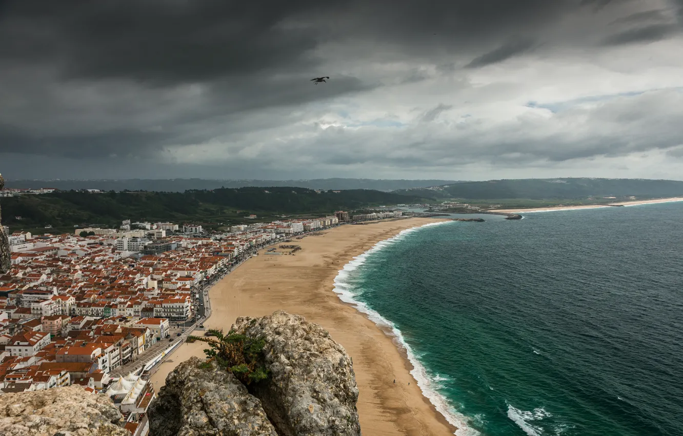 Фото обои Море, Город, Птица, Панорама, Набережная, Португалия, Пейзаж, Sky