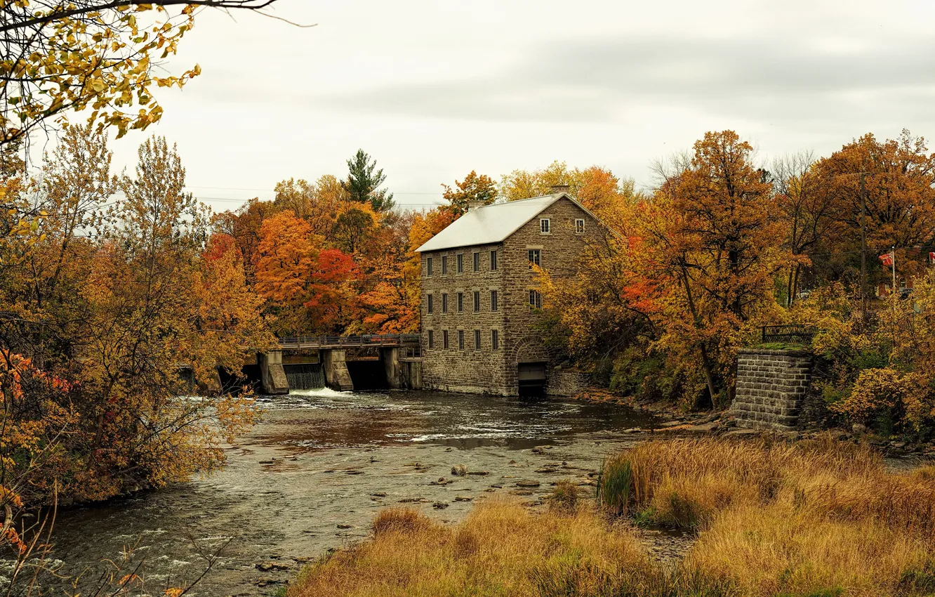 Фото обои осень, деревья, мост, дом, желтые, Канада, речка, Ottawa