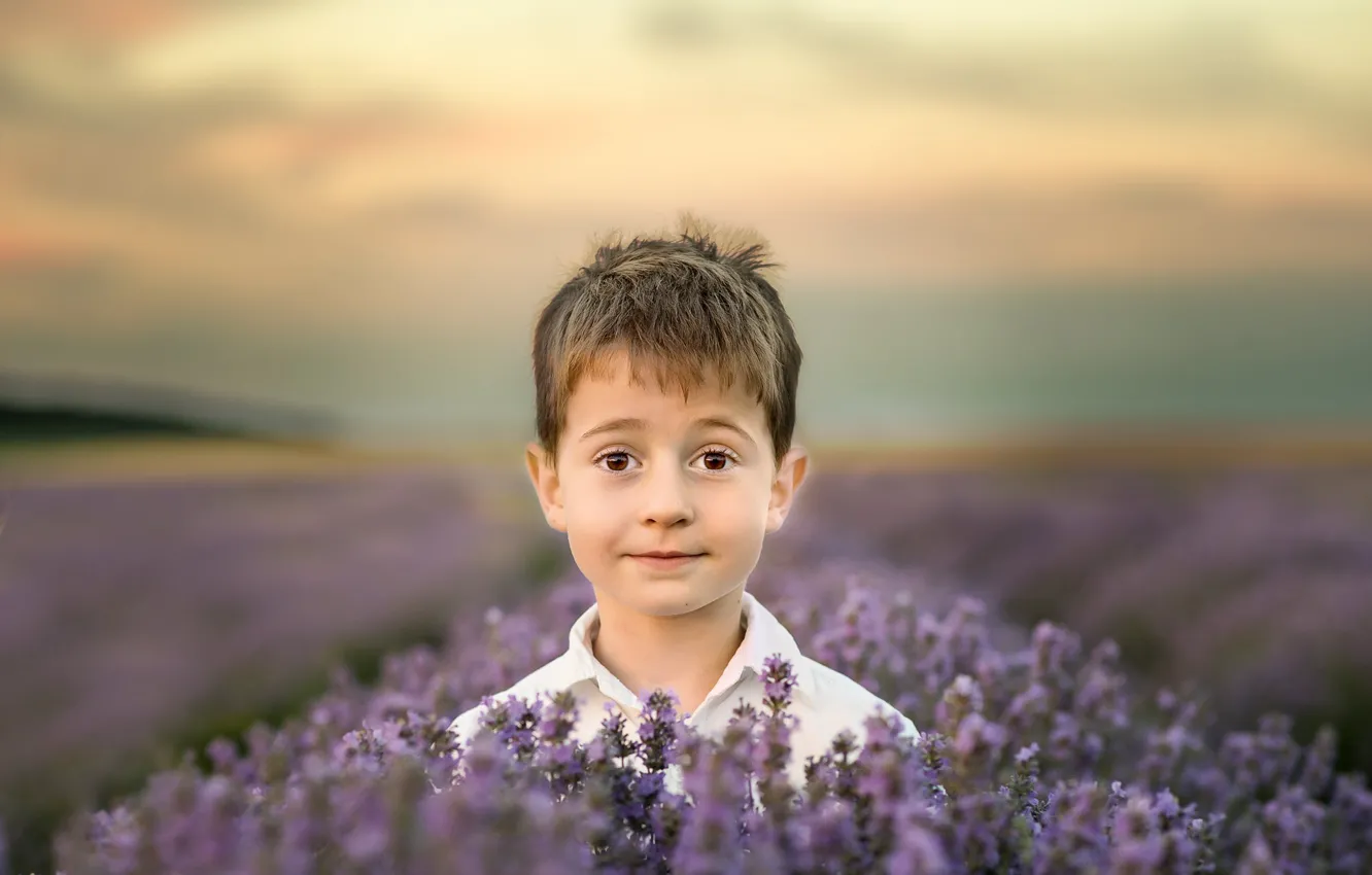 Фото обои поле, цветы, природа, голова, мальчик