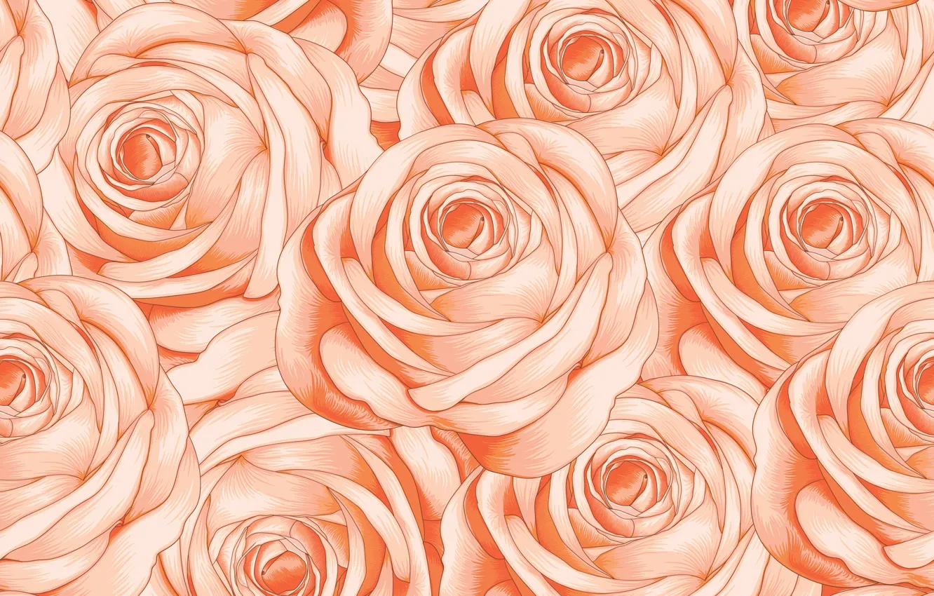 Фото обои фон, розовый, розы, текстура, бутоны