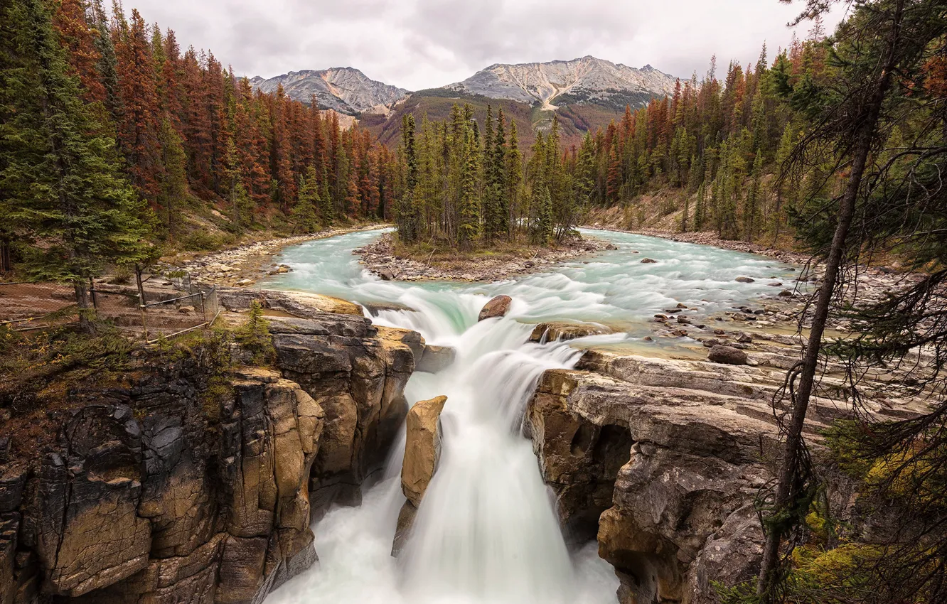 Фото обои лес, деревья, горы, камни, скалы, водопад, речка, Jasper National Park
