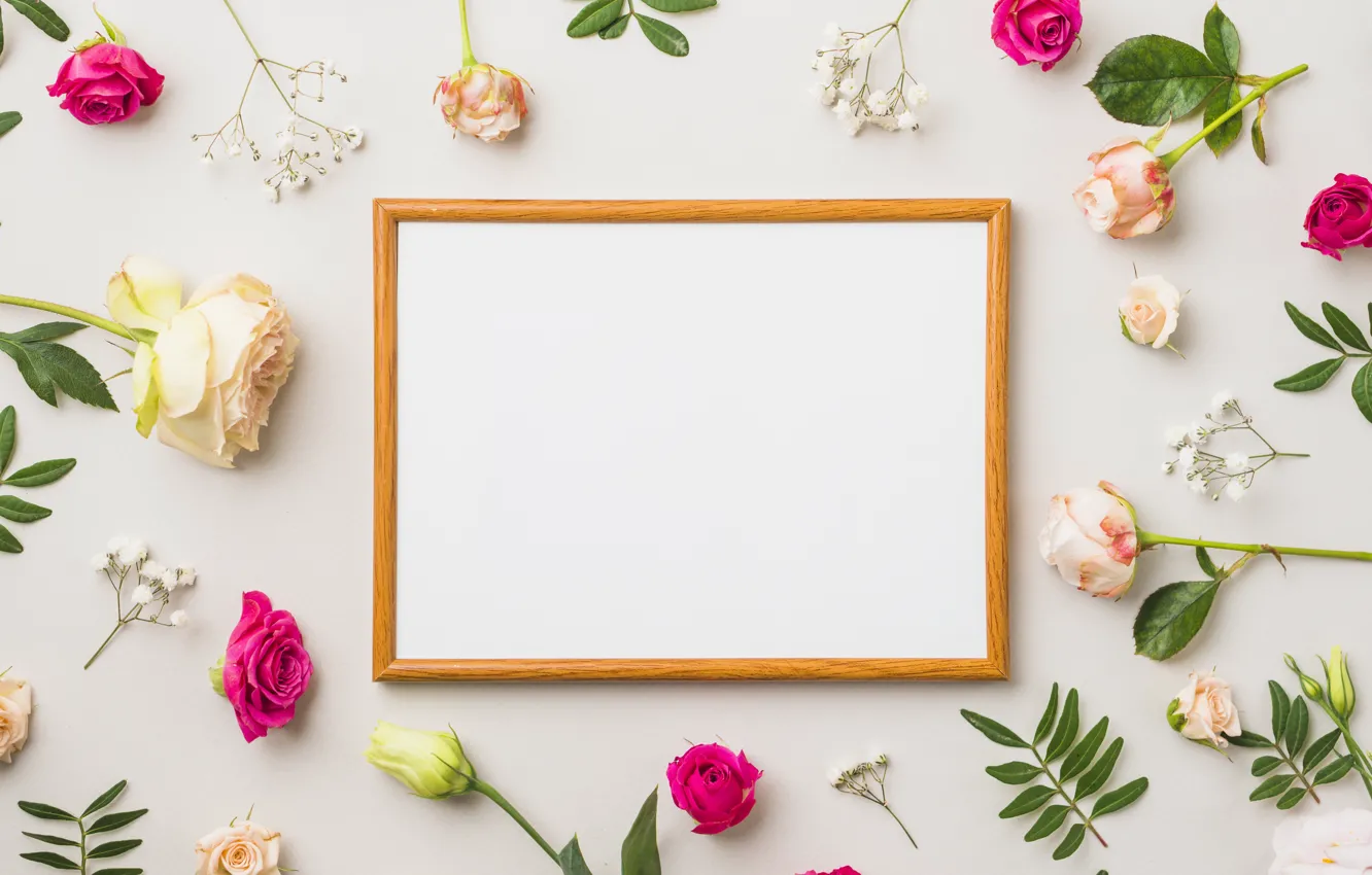 Фото обои цветы, розы, рамка, leaves, декор, roses, frame