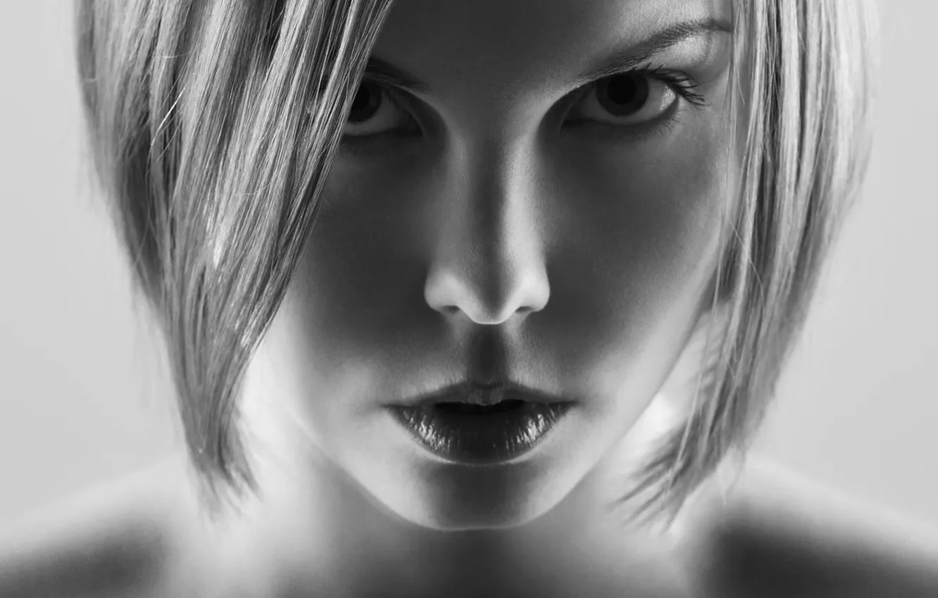 Фото обои модель, портрет, чёрно-белое, Алексей Казанцев, Ania Makushine