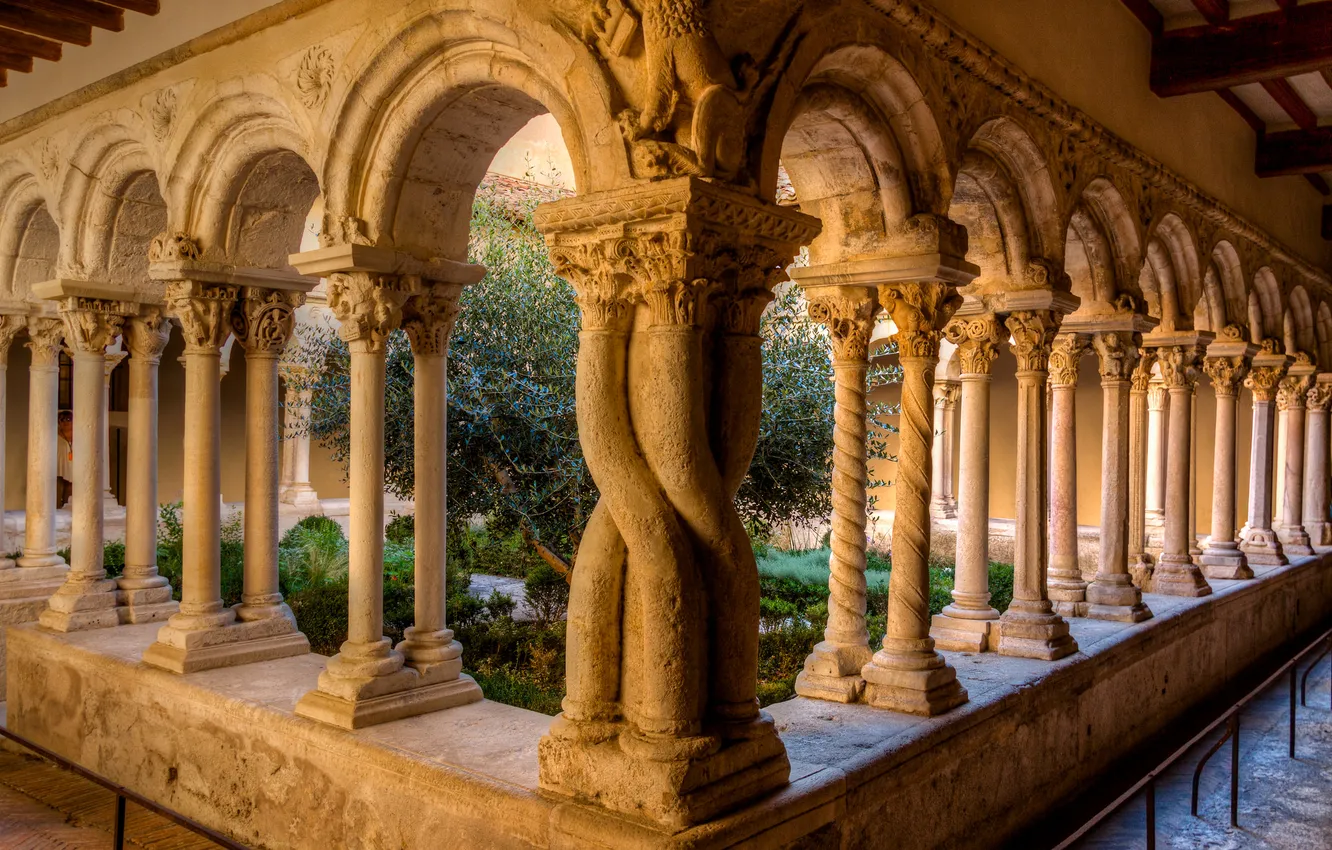 Фото обои дерево, Франция, двор, собор, колонны, монастырь, Экс-ан-Прованс