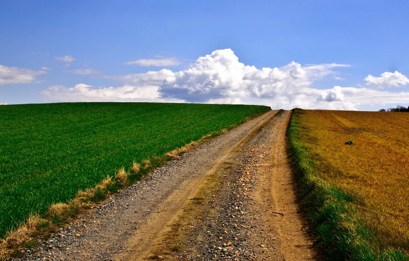 Фото обои дорога, поле, небо, пейзаж