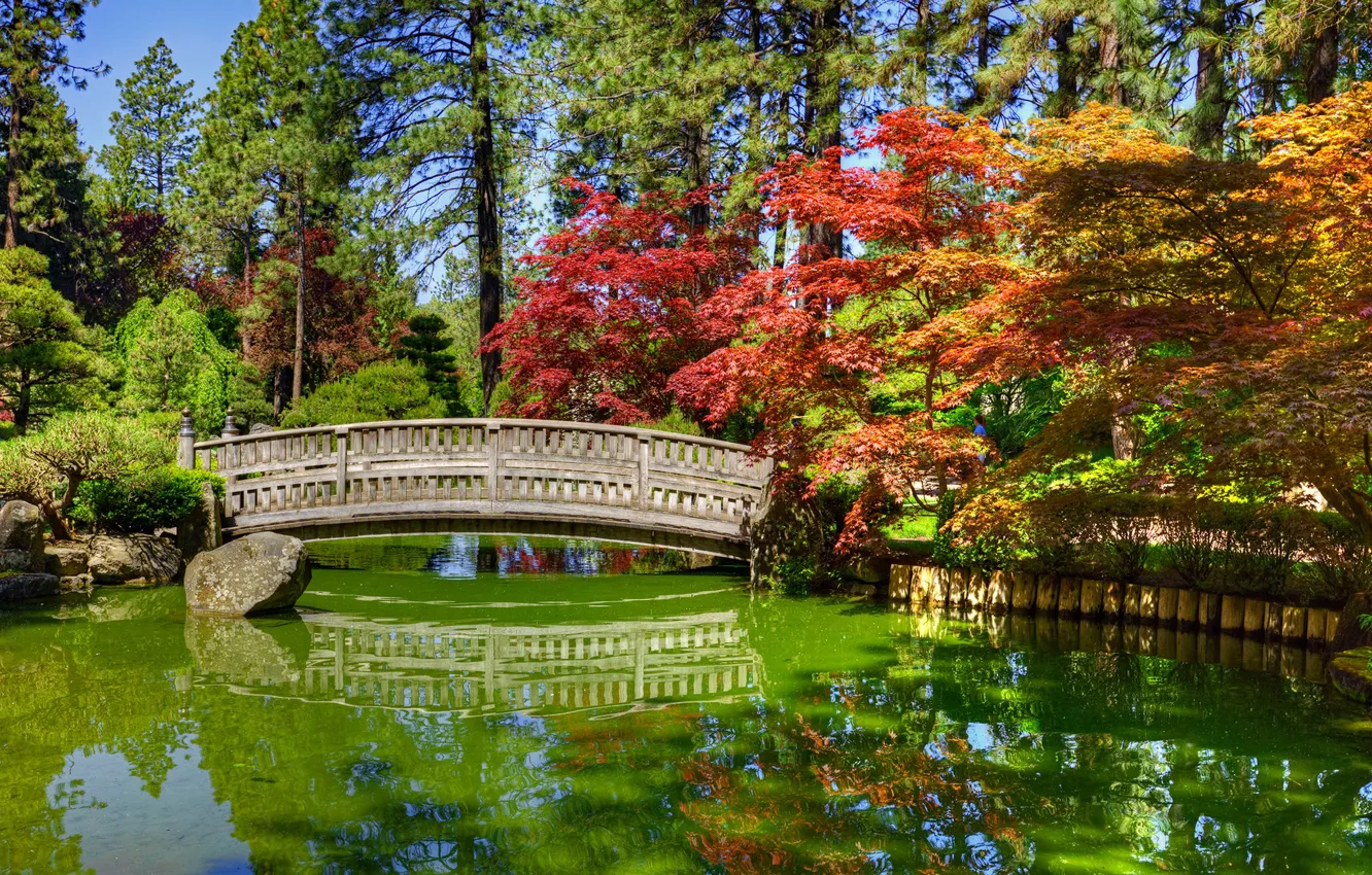 Фото обои вода, солнце, деревья, мост, пруд, парк, камни, HDR