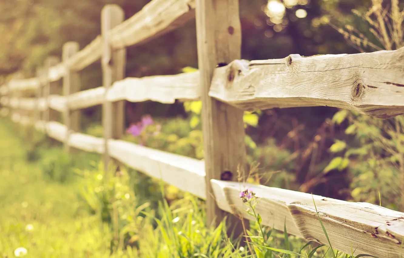 Фото обои природа, забор, фокус, ограда, травы, боке