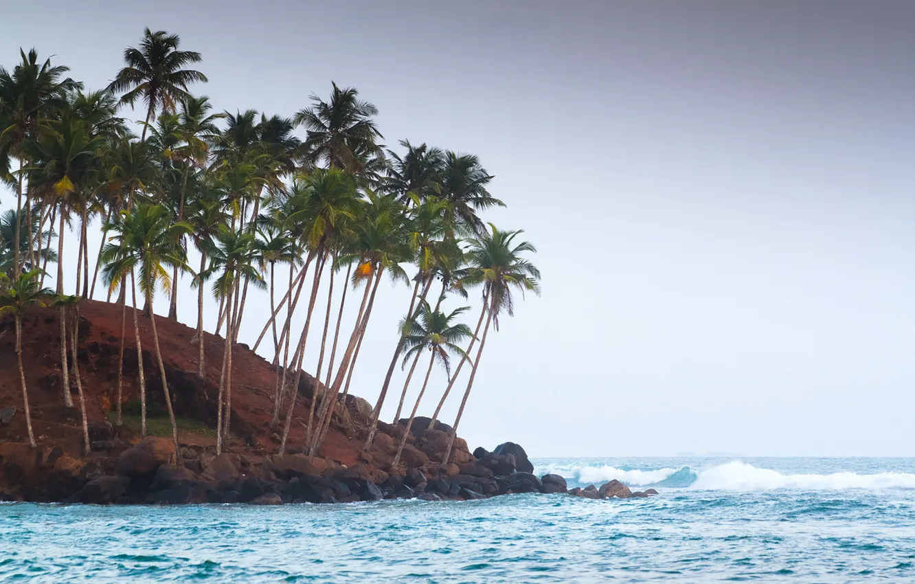 Фото обои beach, seascape, rocks, wave, horizon, coconuts, cove