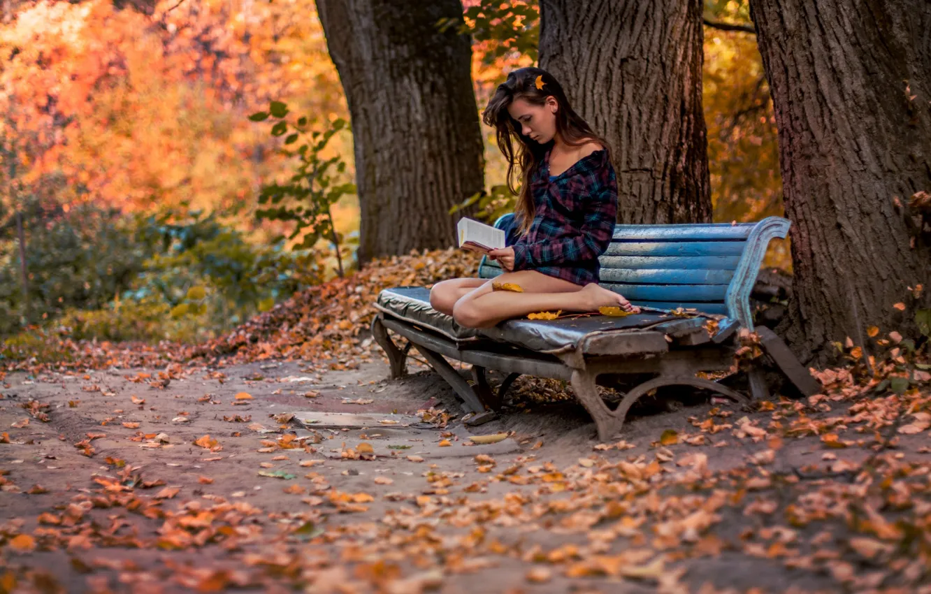 Фото обои осень, девушка, парк, книга, скамья