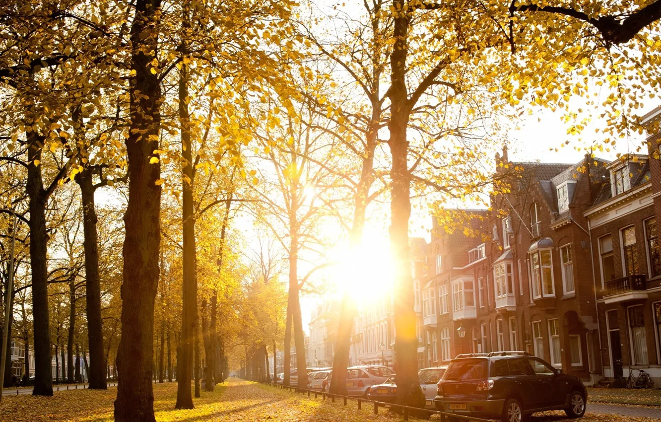 Фото обои осень, солнце, город, улица, Sunny Autumn Afternoon In Utrecht