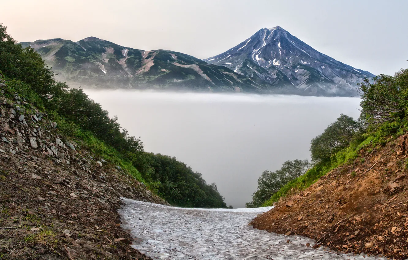 Фото обои деревья, горы, туман, камни, склон, Россия, Камчатка