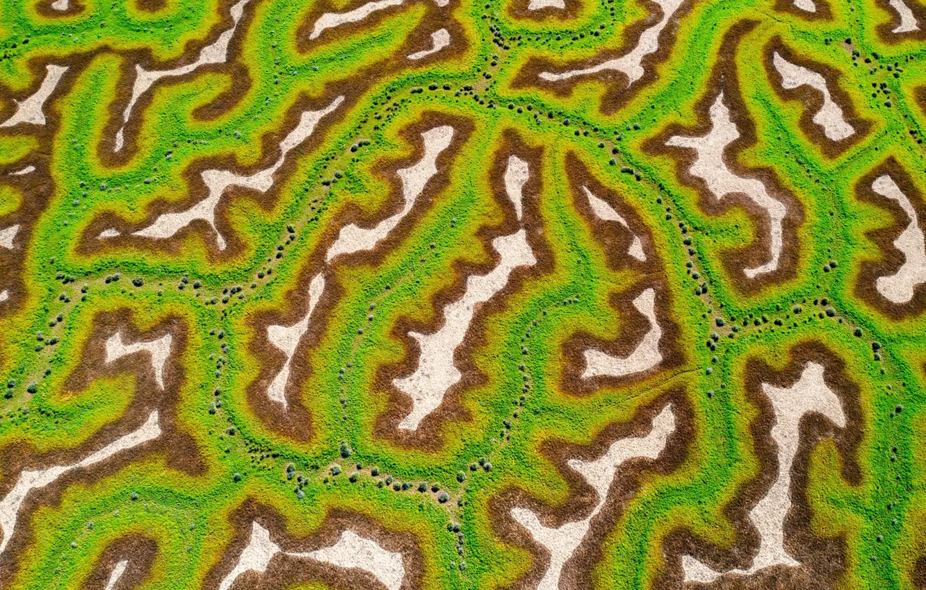 Фото обои earth, australia, after flood