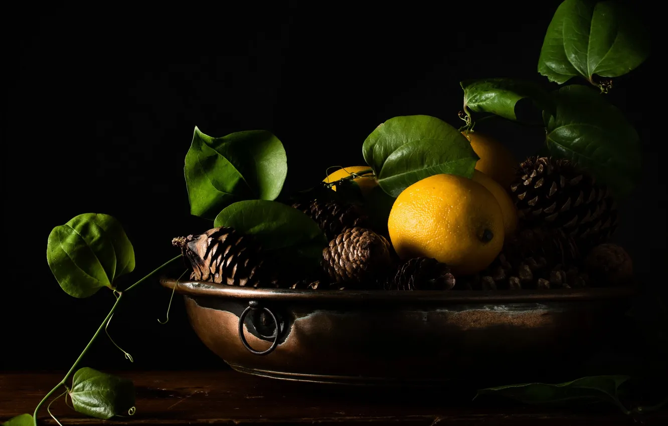 Фото обои фон, лимон, ветка