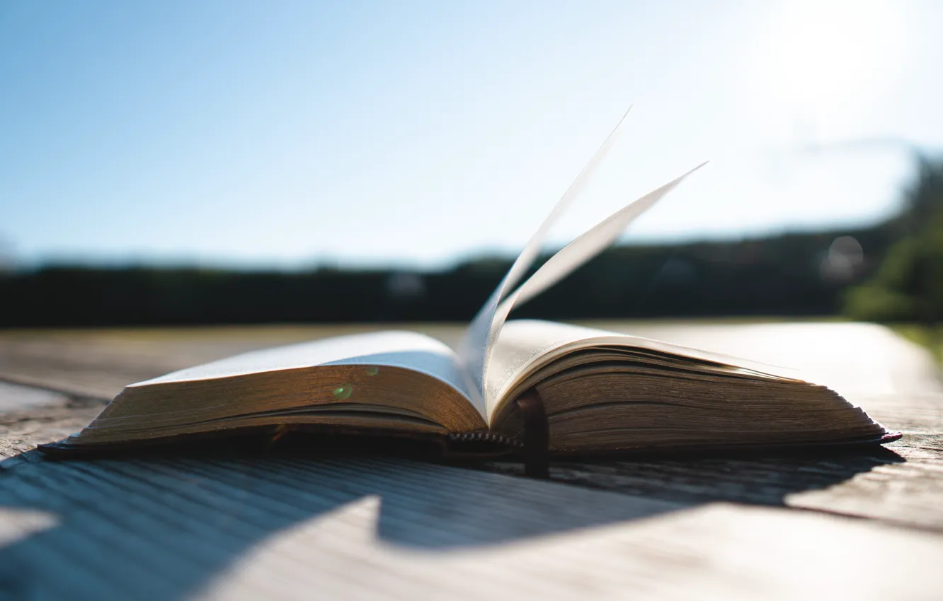 Фото обои summer, book, Christian, wind, sunlight, God, Bible, Jesus