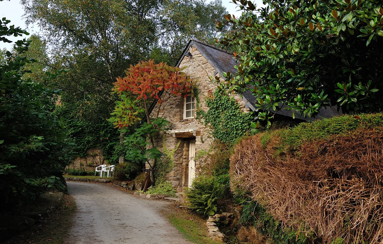 Фото обои дорога, деревья, дом, Франция, Бретань