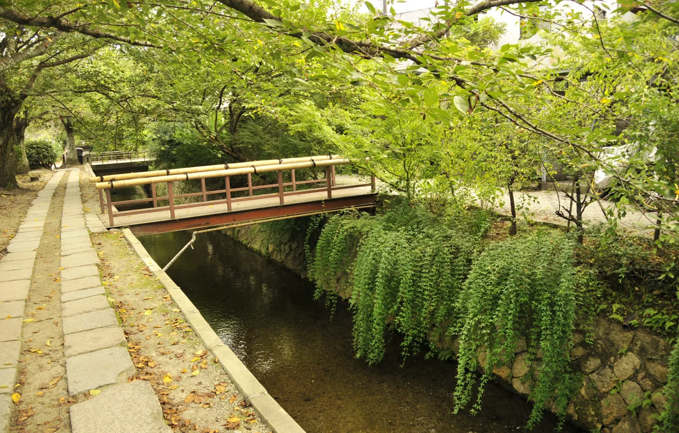 Фото обои деревья, мост, япония, восток, Kyoto, киото