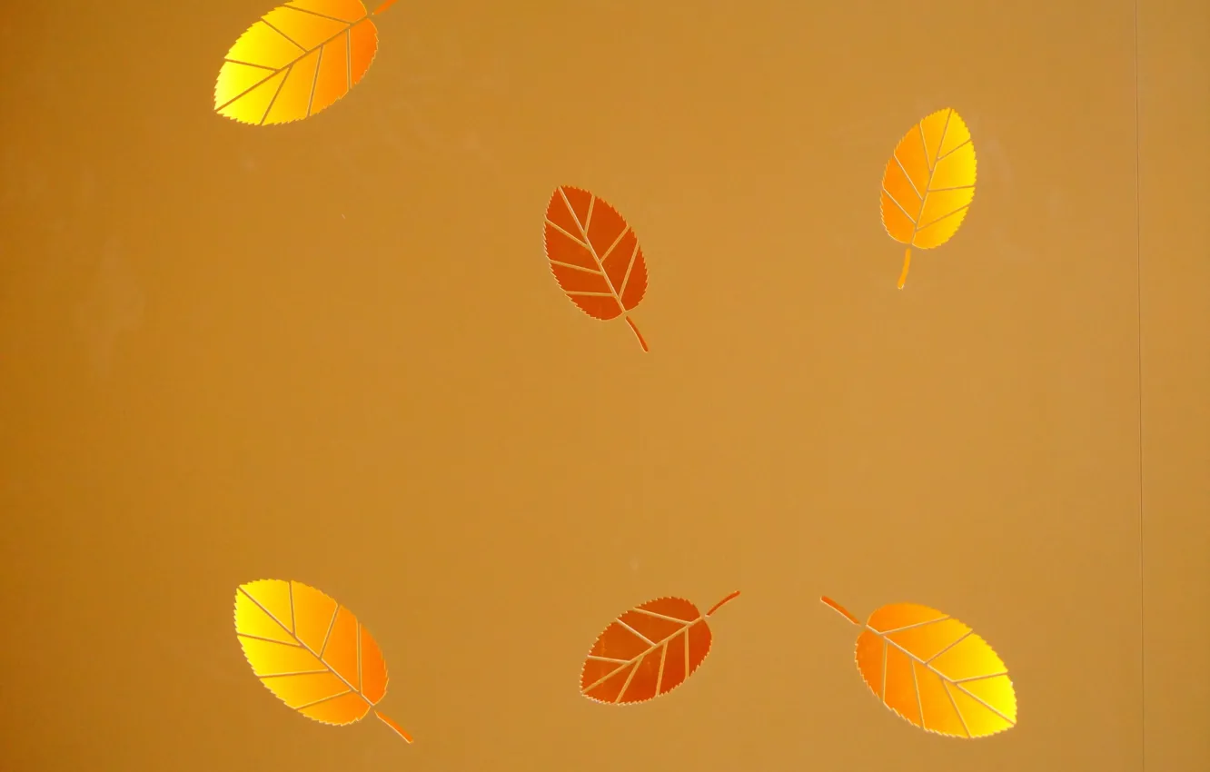 Фото обои листья, фон, текстура
