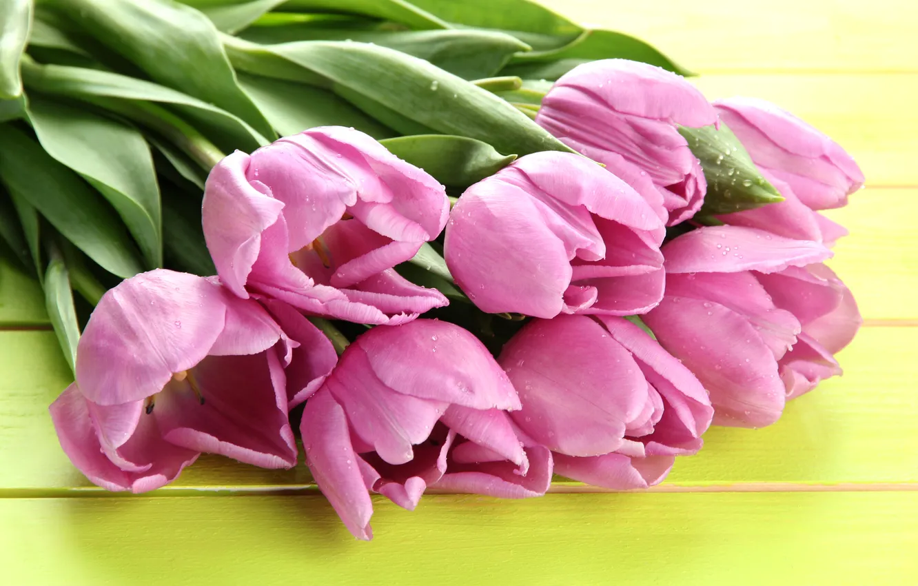 Фото обои цветы, букет, тюльпаны, розовые, wood, pink, flowers, beautiful