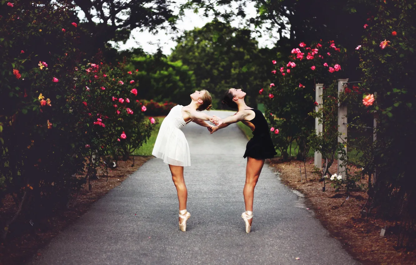 Фото обои девушки, белое, черное, балерины