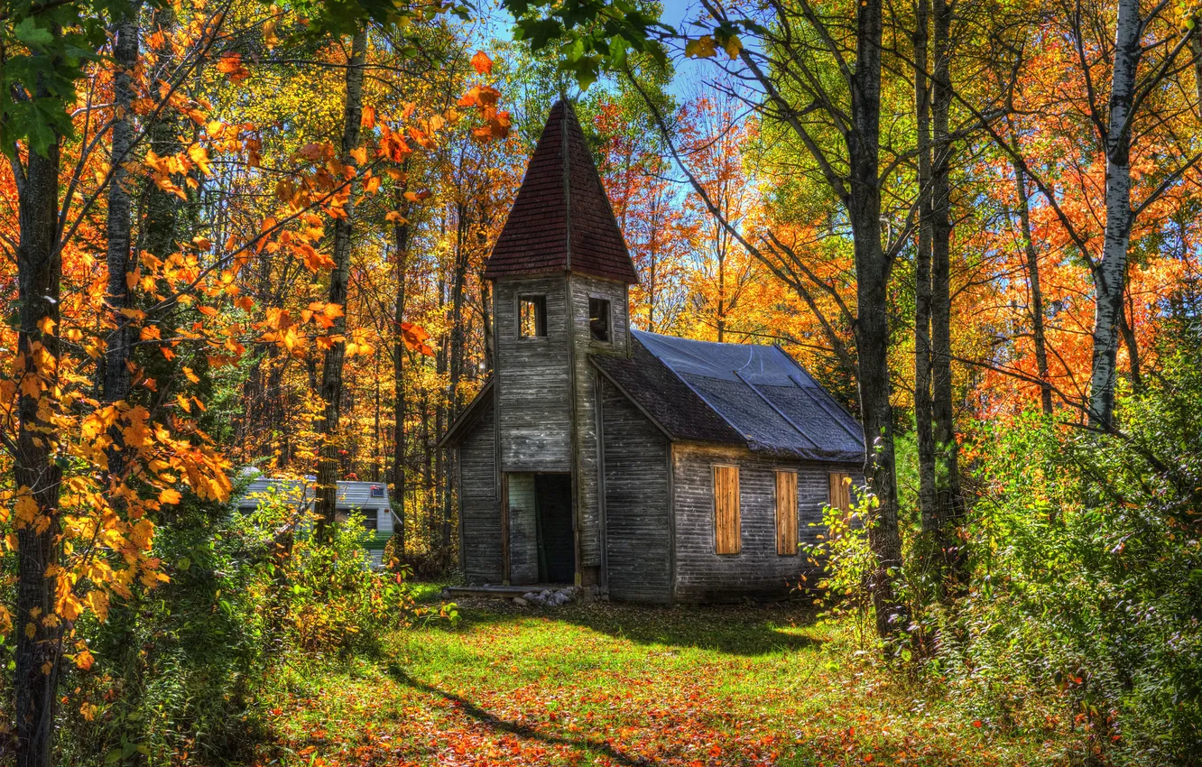Фото обои осень, лес, солнце, деревья, дом, заброшенный