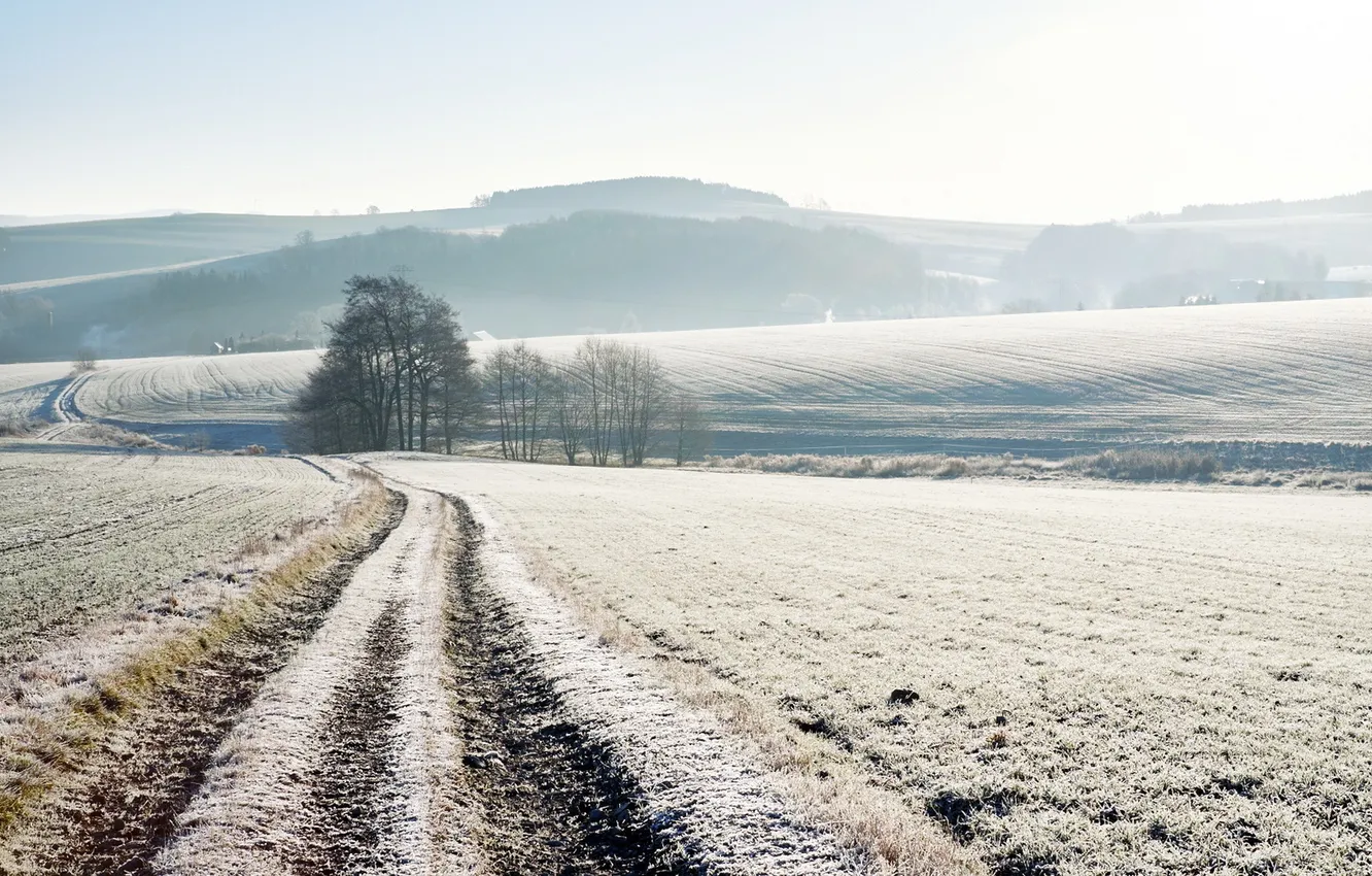 Фото обои зима, дорога, поле, снег, утро